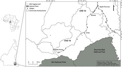 Declining Ungulate Populations in an African Rainforest: Evidence From Local Knowledge, Ecological Surveys, and Bushmeat Records